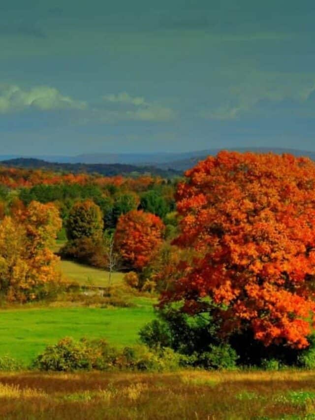 The Most Beautiful Spots in Bennington, Vermont