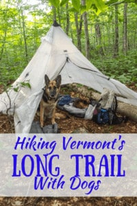 A German Shepherd in a tent with the caption: Hiking the Long Trail in Vermont