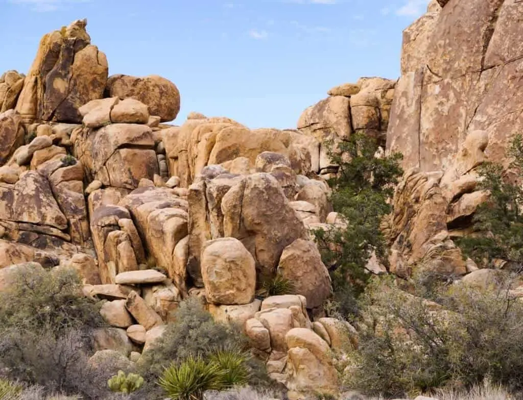 A boulder field in Joshua Tree National Park