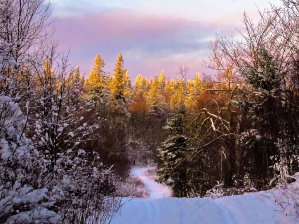 A snowy scene in the Green Mountain National Forest of Vermont