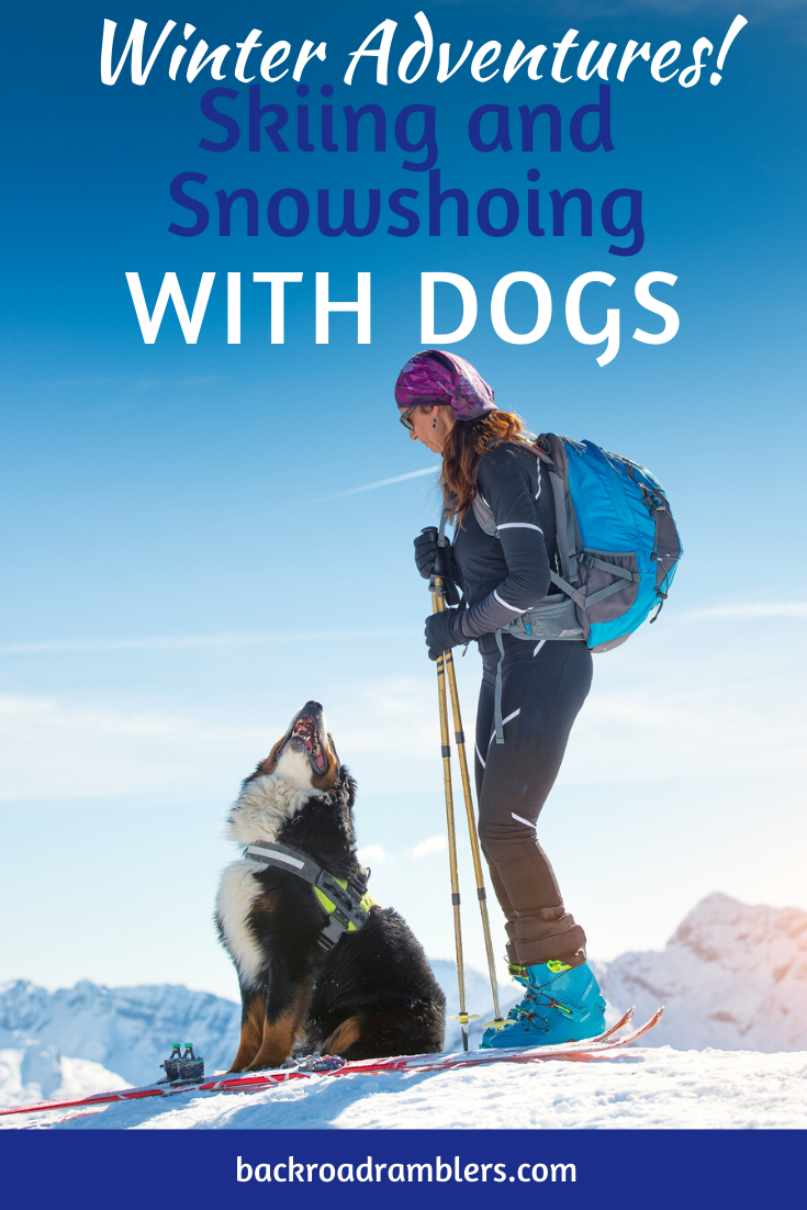 Our Favorite Tips for Skiing and Snowshoeing with Dogs