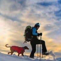 cropped-snowshoeing-with-dogs.jpg