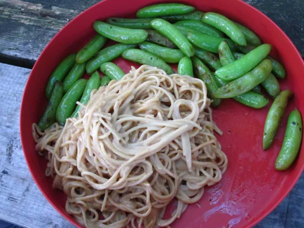 A red plastic camping plate with peanut noodles and snap peas.