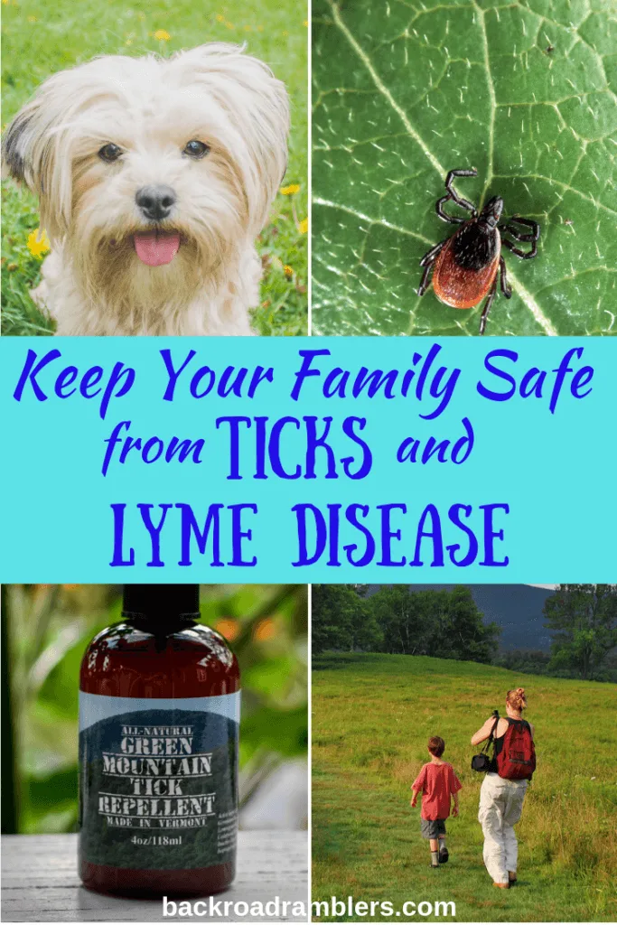 A collage of tick-related photos. Caption reads: keep your family safe from ticks and lyme disease.