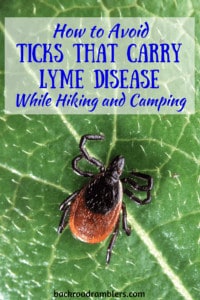 A close-up of a deer tick on a leaf. Caption reads: How to avoid ticks that carry lyme disease when hiking and camping.