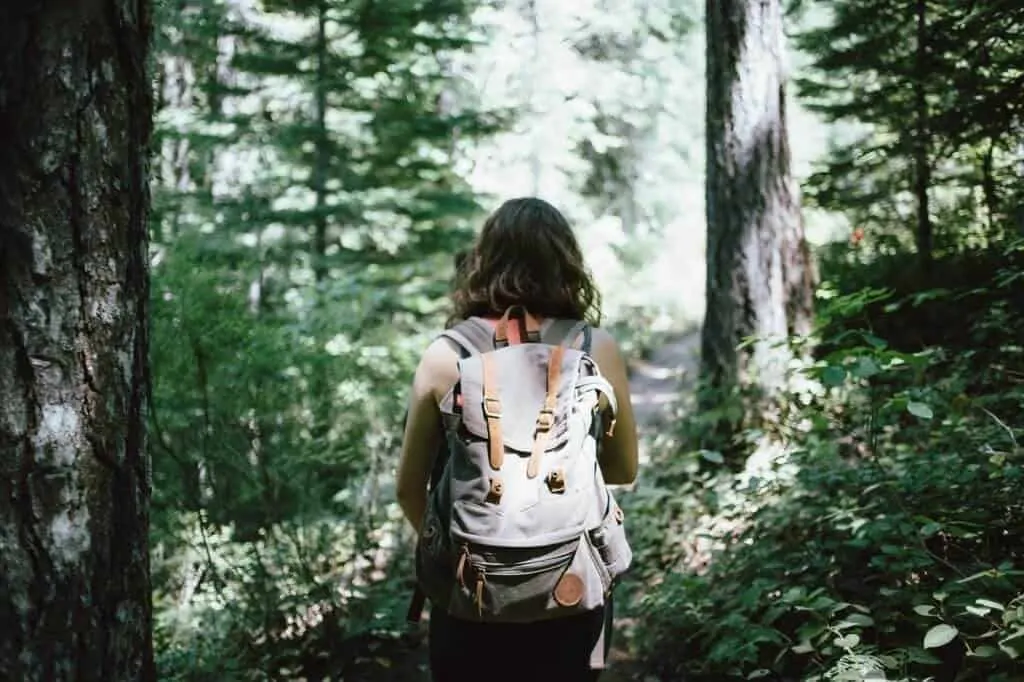 The back of a woman wearing a backpack and hiking through the woods.