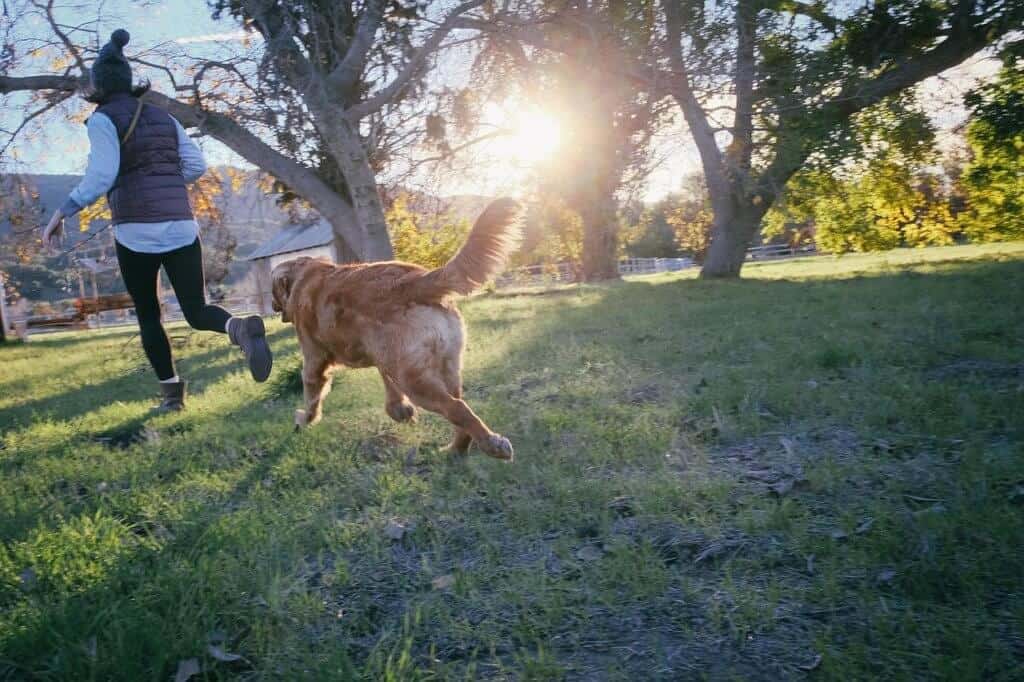 A woman runs through the grass with a golden retriever during the sunset.