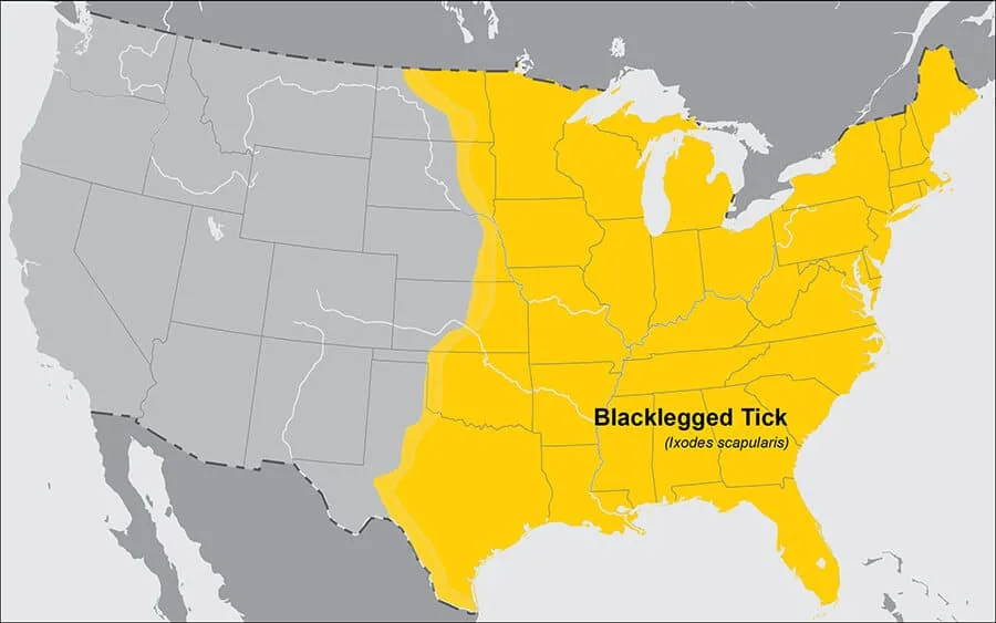 A map showing the range of the deer tick in the US.
