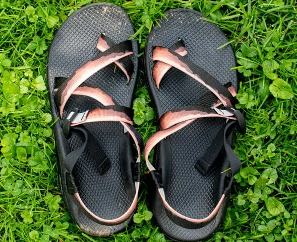 Chaco sandals with a Grand Canyon design.
