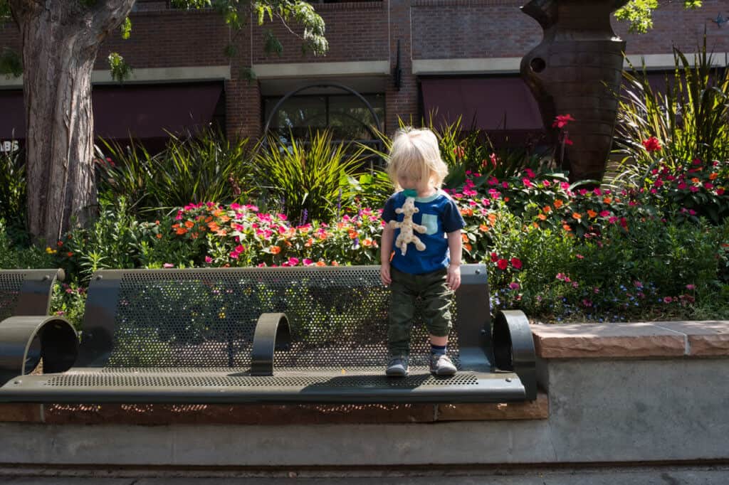 A small child stands near blooming flowers in Old Town Square, Fort Collins, Colorado