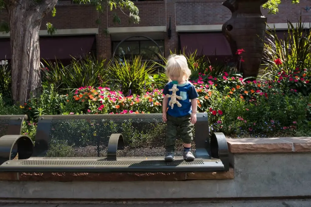 A small child stands near blooming flowers in Old Town Square, Fort Collins, Colorado