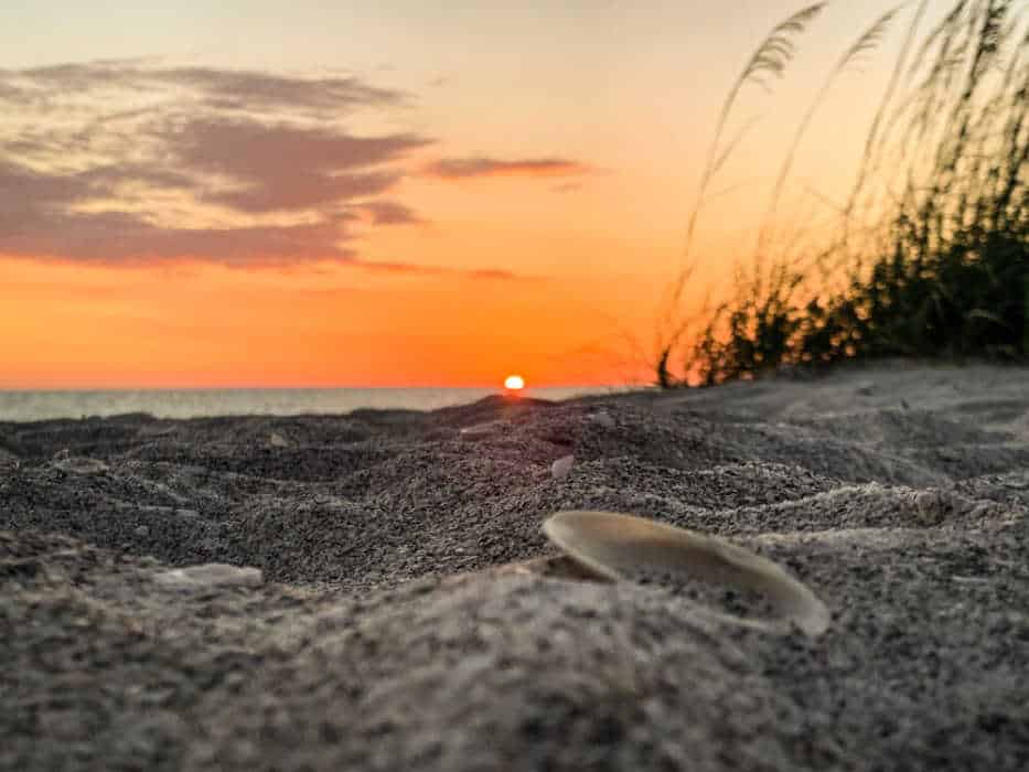 A beautiful expanse of Florida beach at sunset by Taylor Cowling
