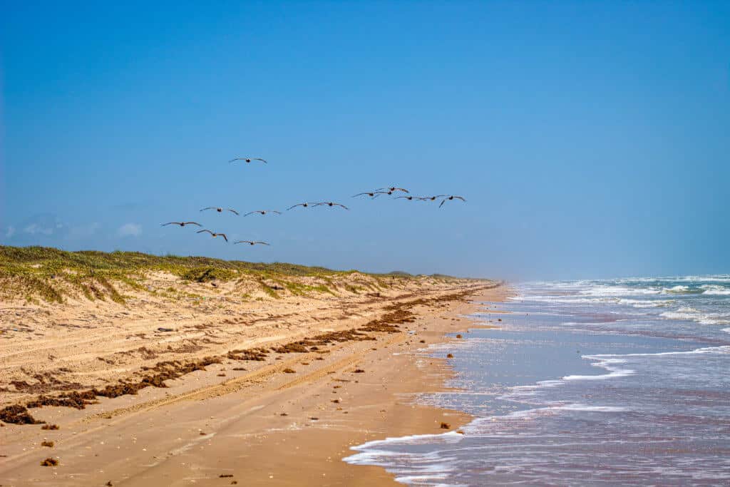 Secluded Beaches in the USA A sunny day on Padre Island National Seashore. Photo credit: Photo by Joshua J. Cotten on Unsplash