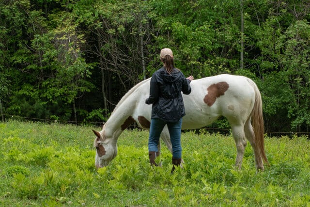 Maya, the painted mare, standing in a field with a young woman.