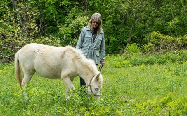 Exploring Bristol, Vermont: Hiking, Waterfalls, and Yurt Camping 27 Nahvee, a mini mule with her owner, Ellen.