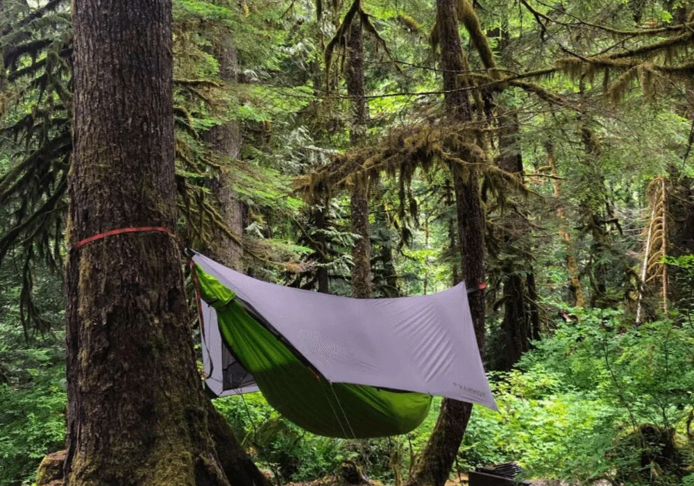 The Kammok Mantis camping hammock hangs in the forest in North Cascades National Park.