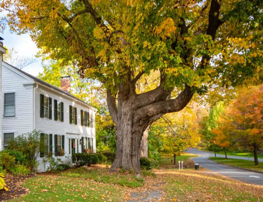 A fall scene in Bennington, Vermont