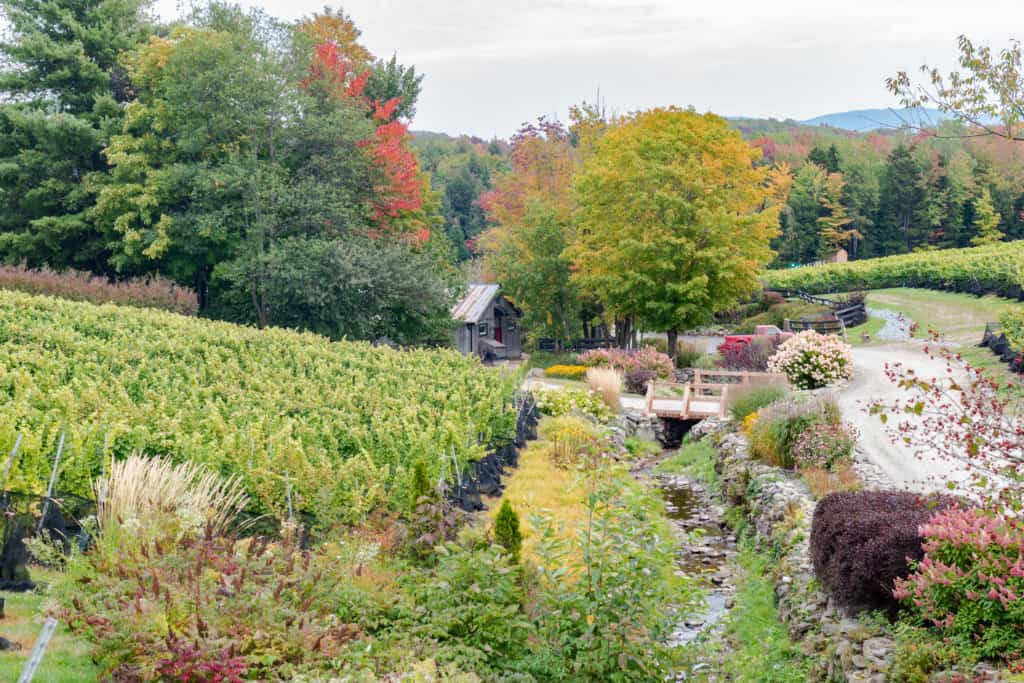 Fall foliage in the Eastern Townships of Quebec.