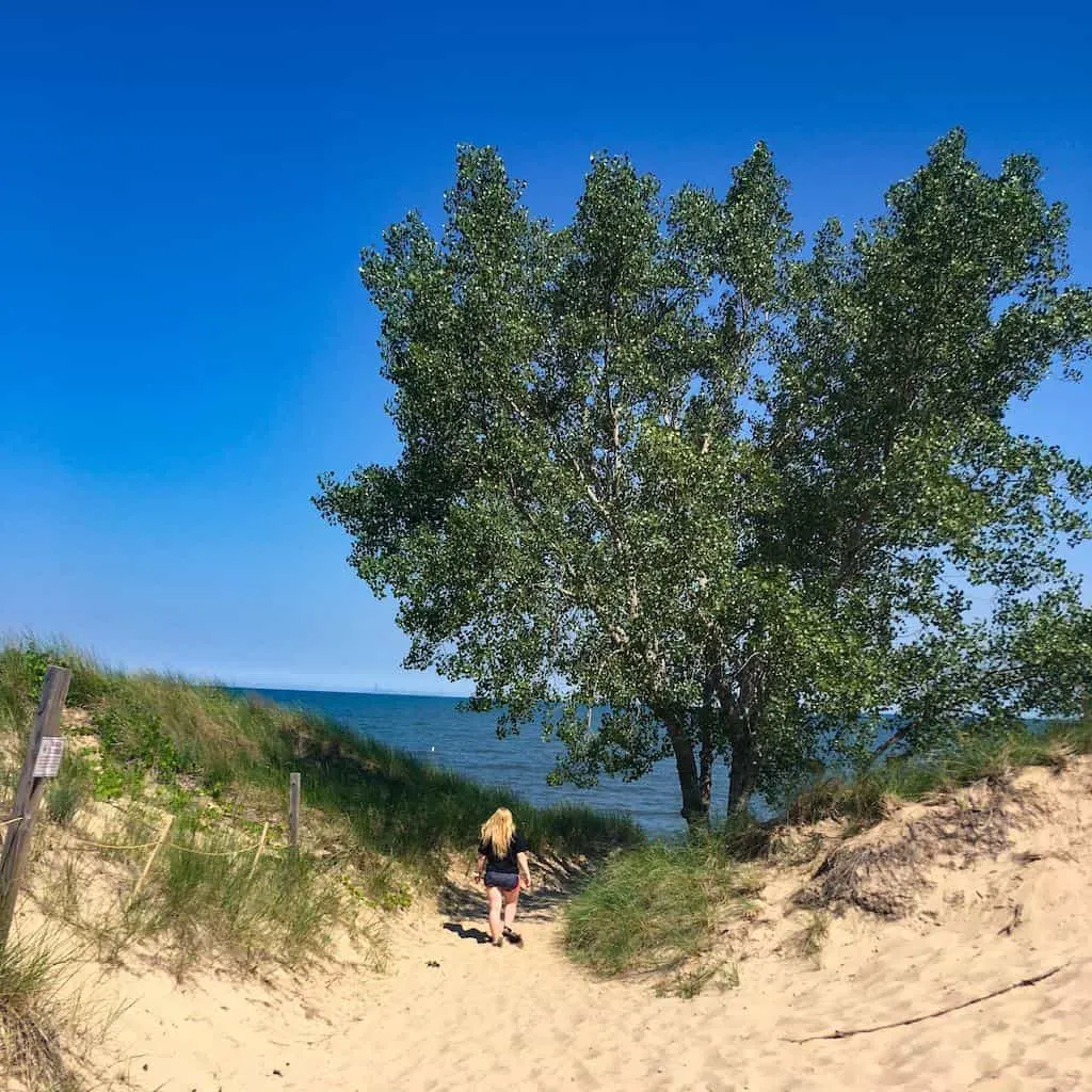 are dogs allowed at the indiana dunes