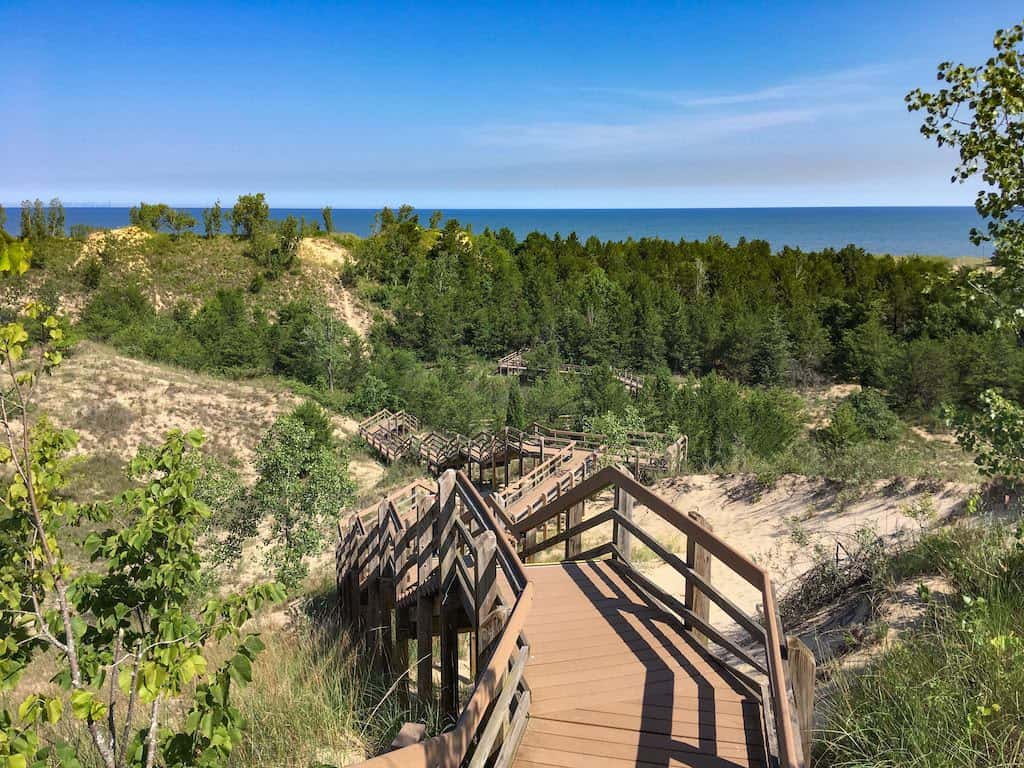 are dogs allowed at indiana dunes