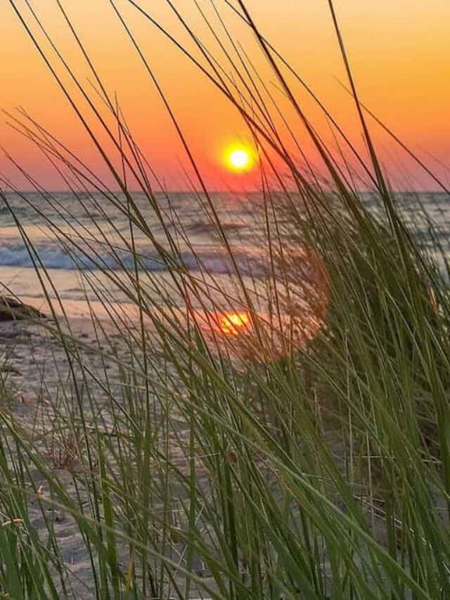 cropped-Indiana-Dunes-Sunset.jpg