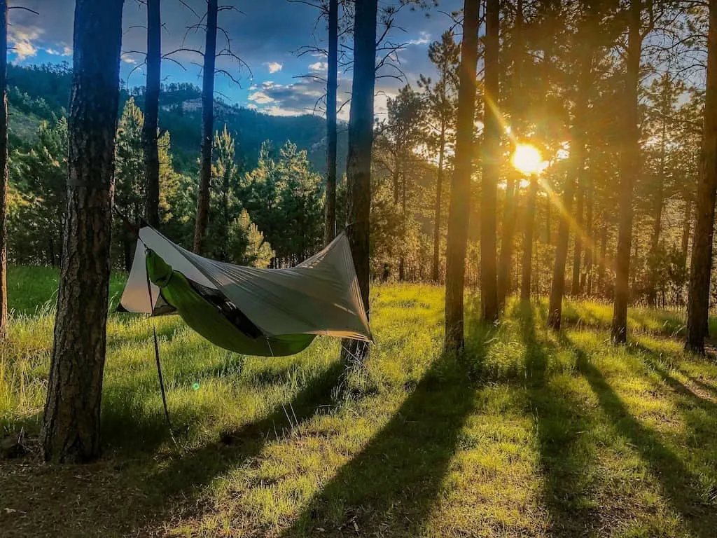 a hammock hangs from two trees in Blue Bell Campground, Custer State Park, South Dakota
