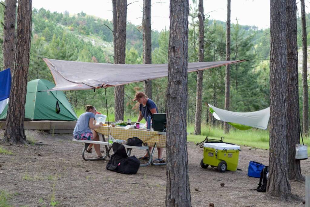 A busy campsite in Blue Bell Campground, Custer State Park.