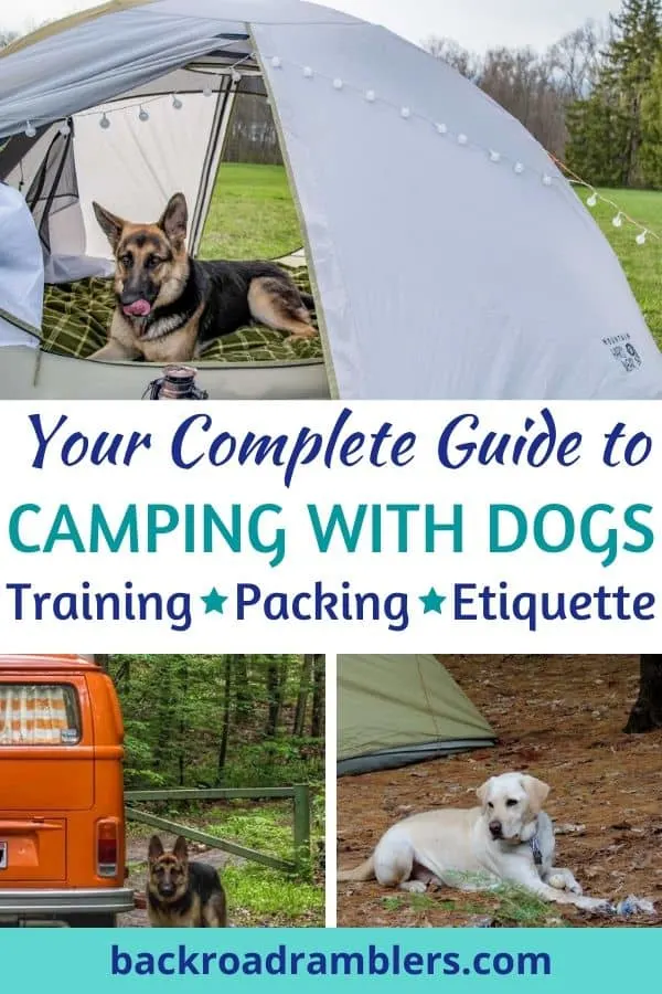A collage of photos featuring dogs camping. Caption reads: Your Complete Guide to Camping with dogs