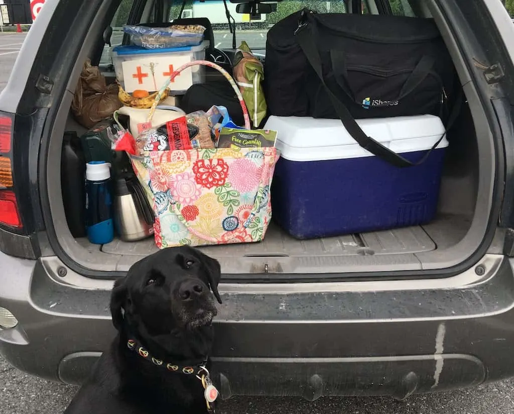 Flynn the black lab getting ready for a camping trip.