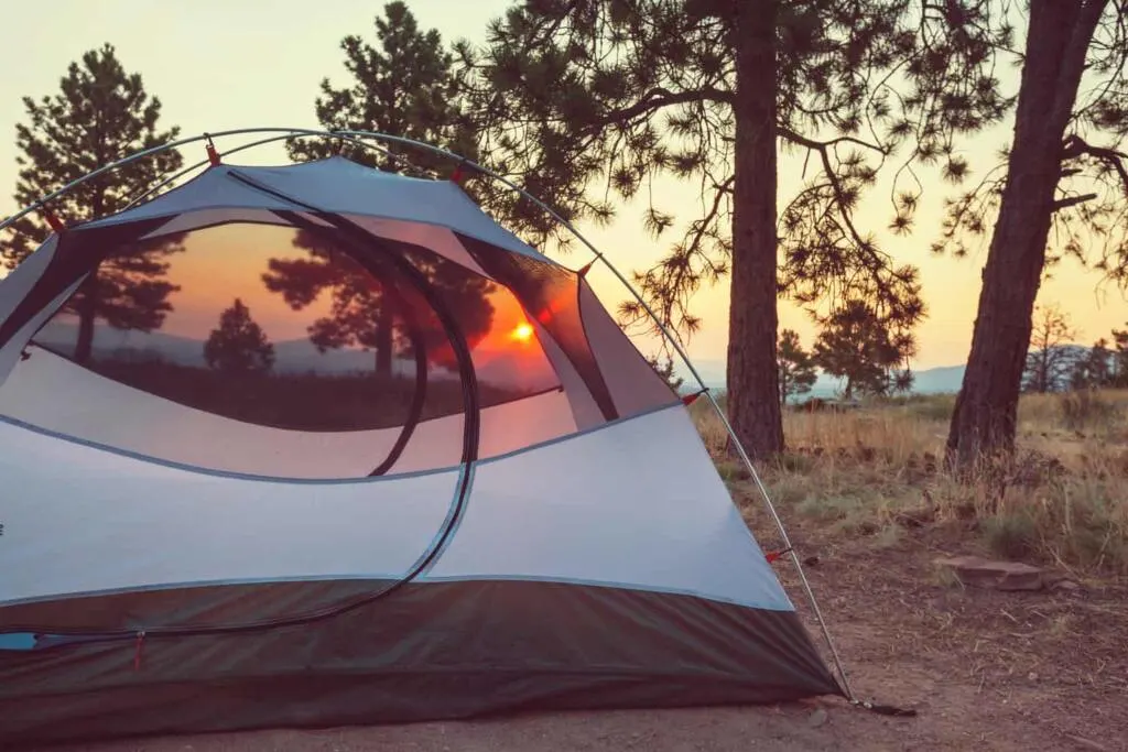 A tent in the sunset next to a tree