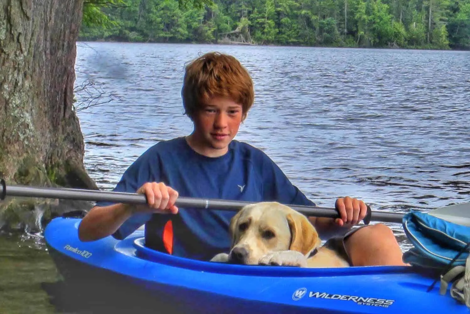 A boy and a dog in a blue kayak on a peaceful lake.