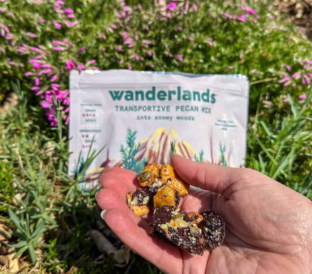 These are the Six Road Trip Essentials We Never Travel Without 8 wanderlands snack