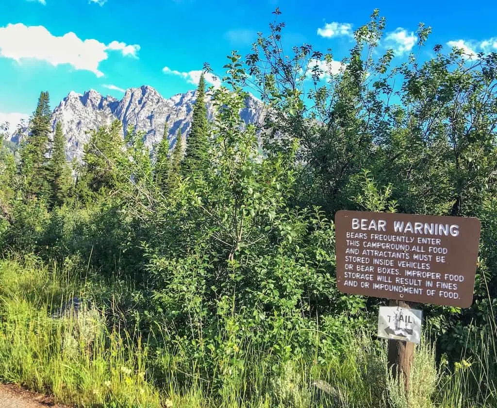 A bear warning sign in Jenny Lake Campground in Grand Teton National Park