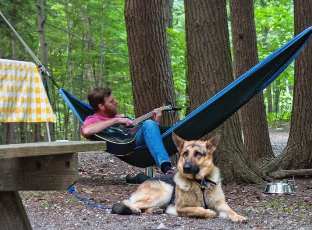 A man sits in a hammock playing the guitar with a German Shepherd at his feet.
