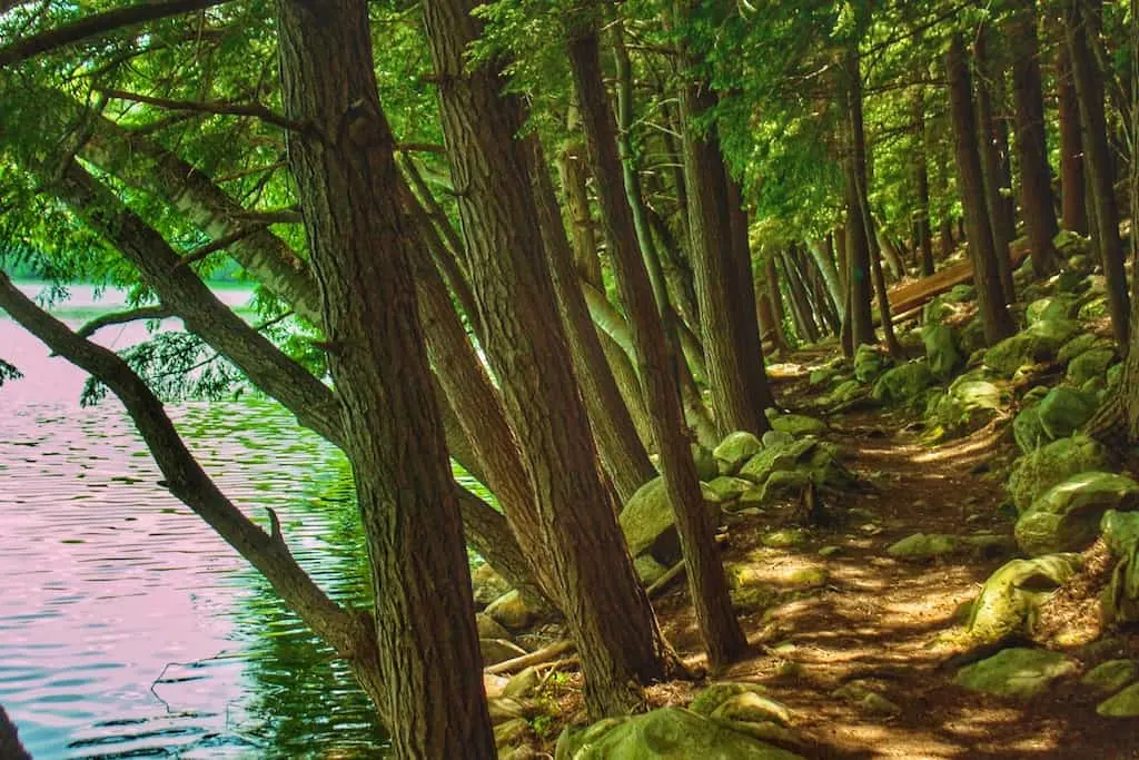 The hiking trail around Emerald Lake