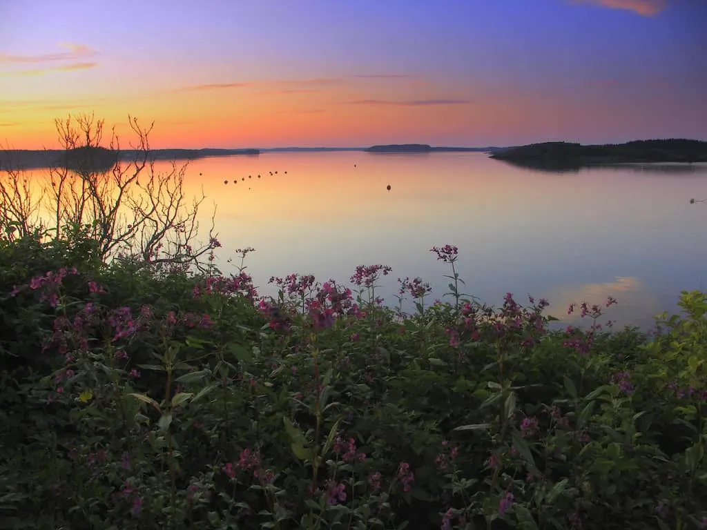 Cobscook Bay, Maine during sunset