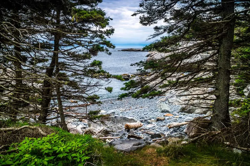 The view from one of the Duck Harbor campsites in Acadia National Park, Maine.