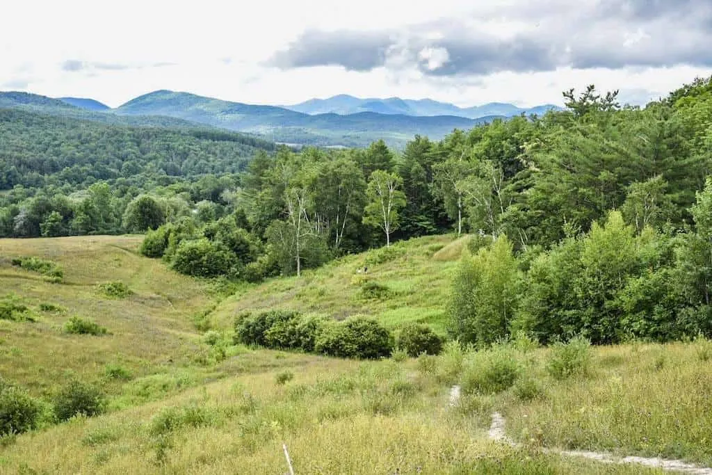 A winding path through a meadow at Taconic Ramble State Park in Vermont