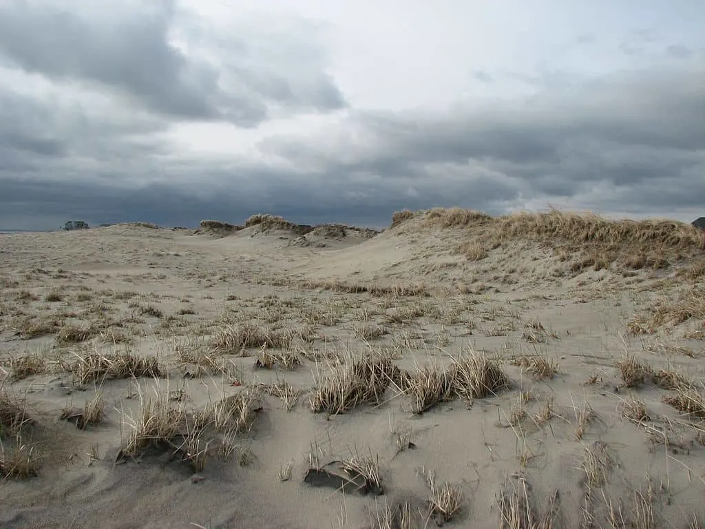 Hampton Beach State Park