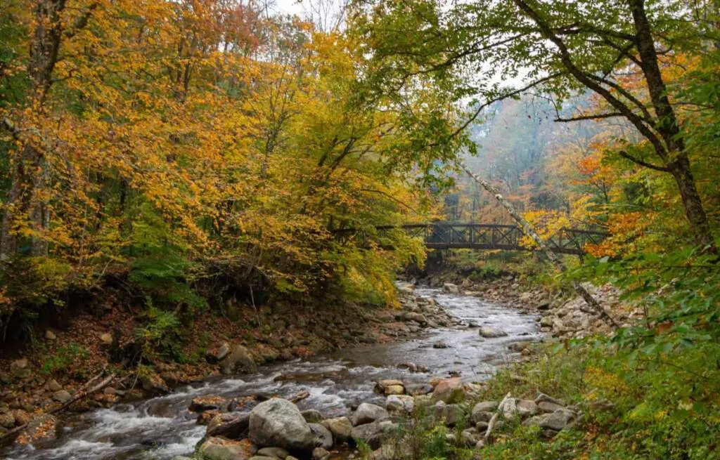 Appalachian Trail footbridge in Bennington VT - autumn foliage.