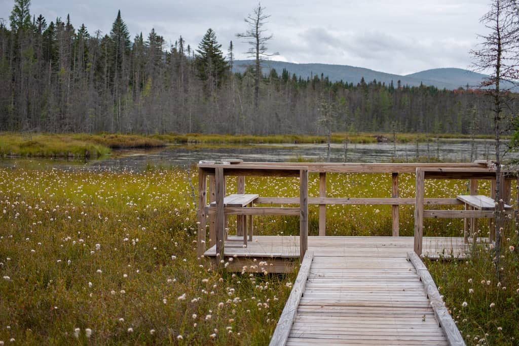 A wooden boardwalk and viewing platform on Moose Bog in Island Pond, VT