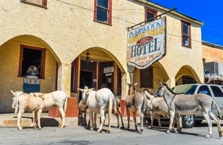 6 Incredible Things To Do In Oatman Arizona Images And Photos Finder 2589