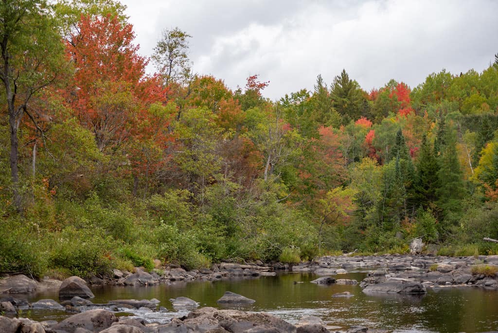 The Nulhegan River near Island Pond, VT
