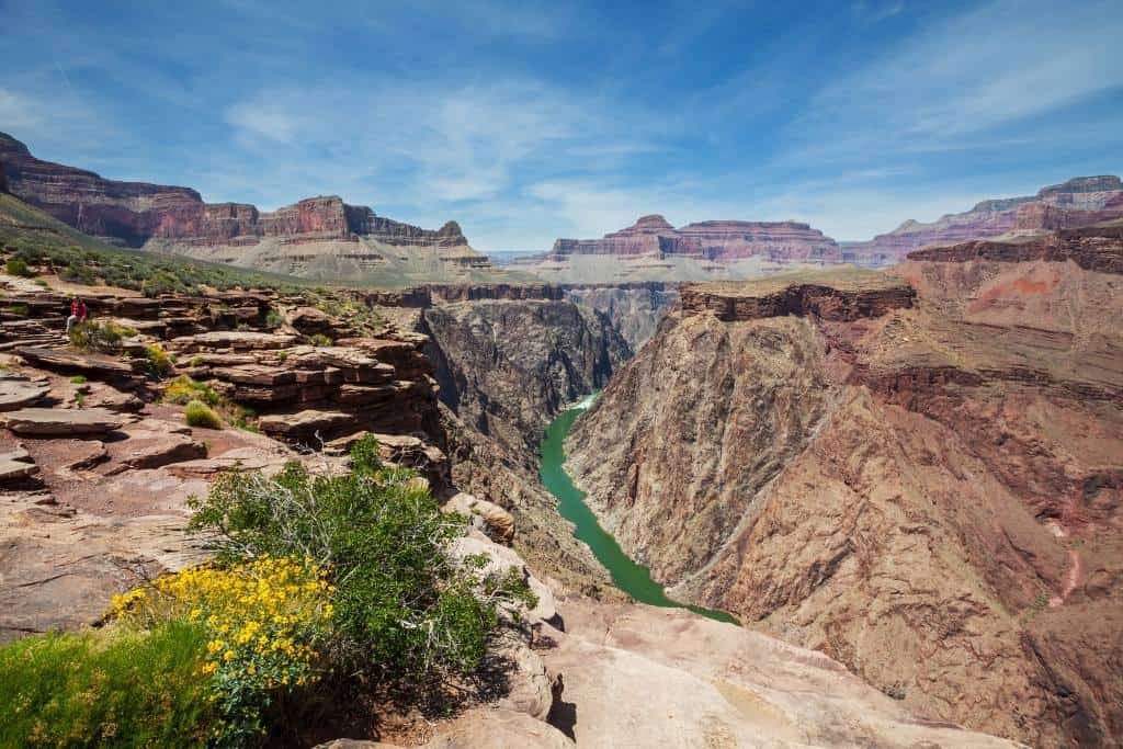 Spring flowers blooming near the Grand Canyon in Arizona.