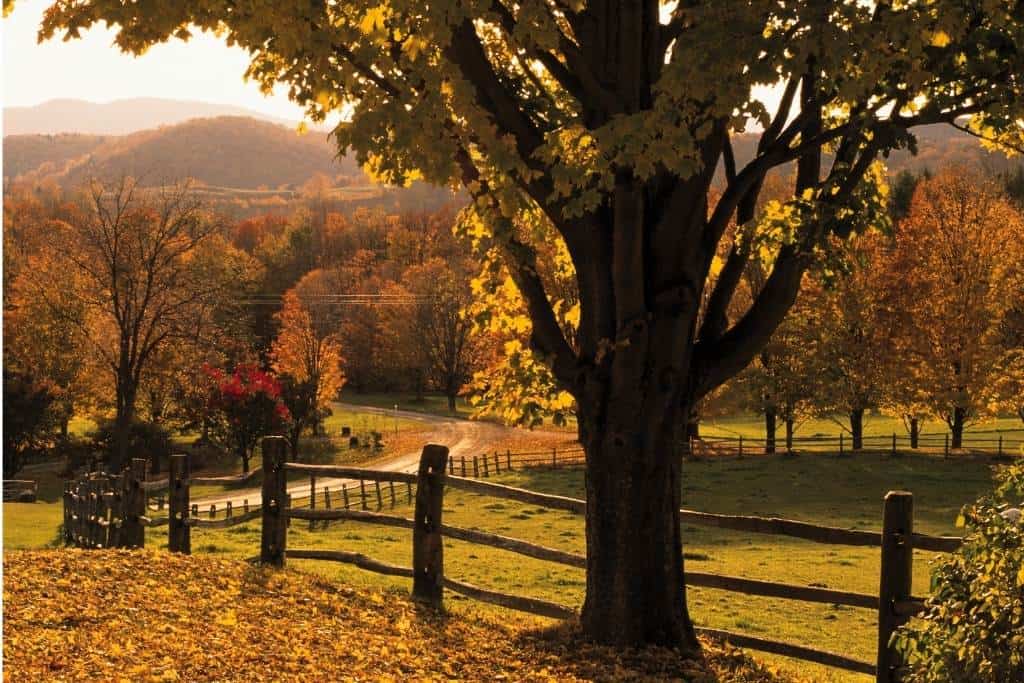 10 Perfect Things to do this Fall in Woodstock and Quechee, Vermont