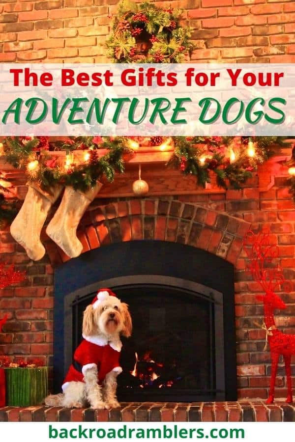 A dog sits in front of a fireplace that has been decorated for Christmas. Caption reads: The Best Gifts for Your Adventure Dogs