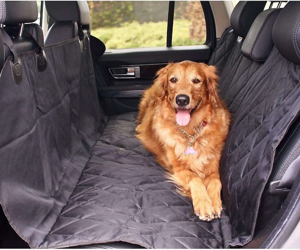 A golden retriever lies in the backseat of a car on a waterproof cover. 