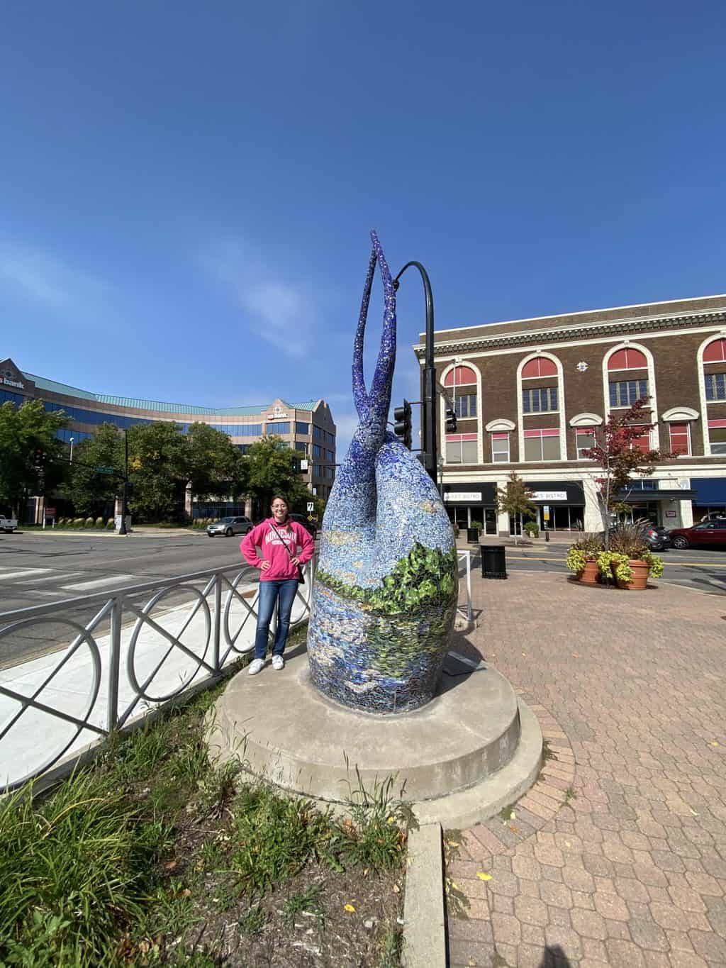 An art installation near Lake George in St. Cloud MN