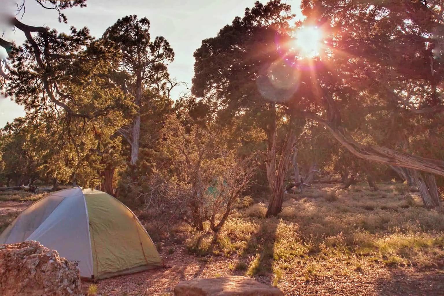 A tent in the woods while the sun is setting.