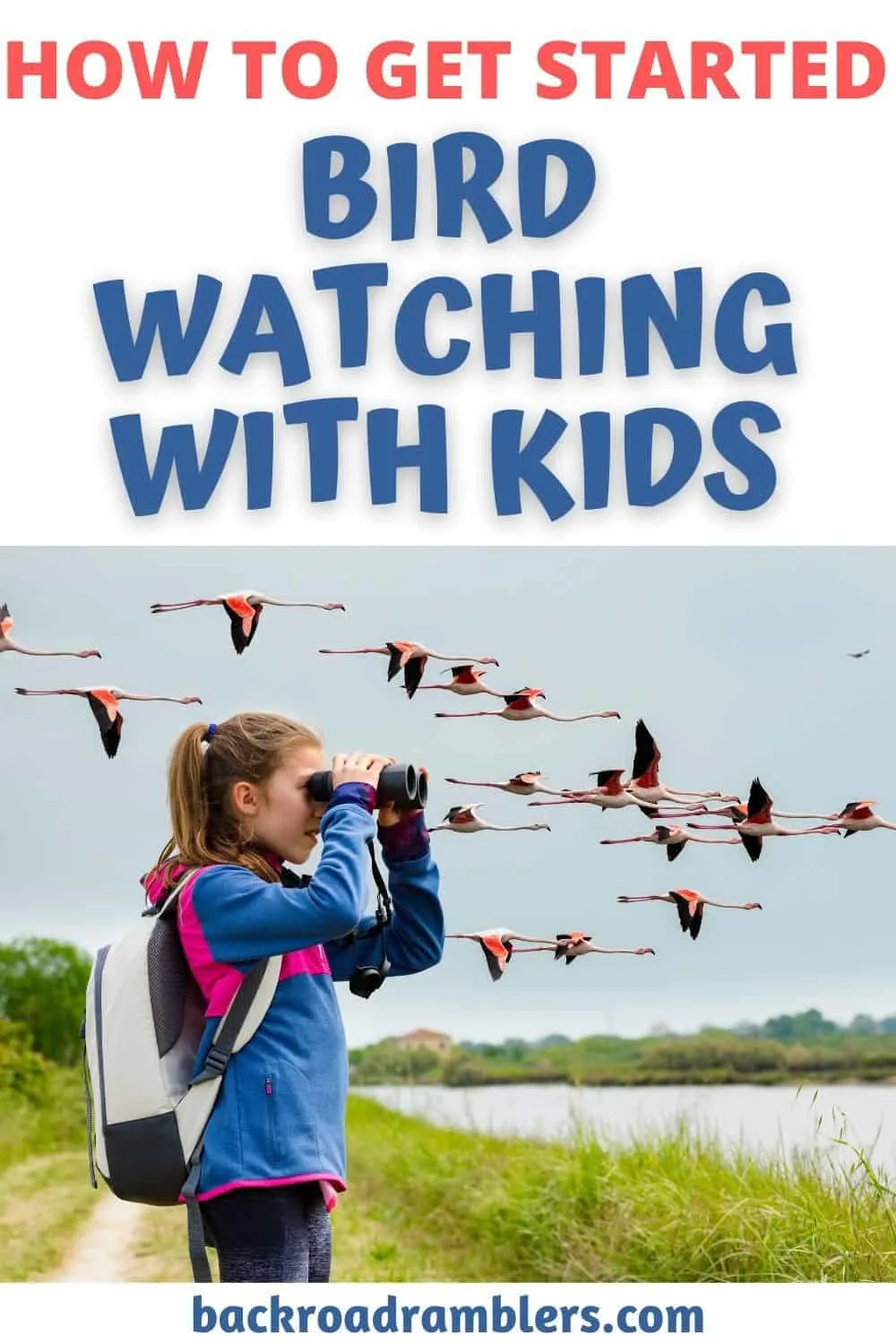 Bird Watching in Kalamazoo, Michigan